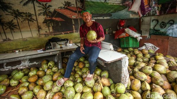 Omzet Naik, Penjual Kelapa Muda Raup Cuan Saat Ramadan