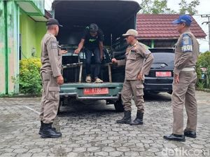 Pelaku Bakar Terpal dan Oles Kotoran di Kafe Tarakan Diamankan Satpol PP Pelaku Bakar Terpal dan Oles Kotoran di Kafe Tarakan Diamankan Satpol PP