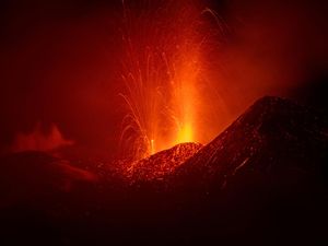 Ternyata Pohon Mengetahui Kapan Gunung akan Meletus, Begini Tanda-tandanya Ternyata Pohon Mengetahui Kapan Gunung akan Meletus, Begini Tanda-tandanya