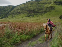 TNBTS Siapkan Jalur Lingkar Kaldera Tengger, Anggaran Rp 15 M
