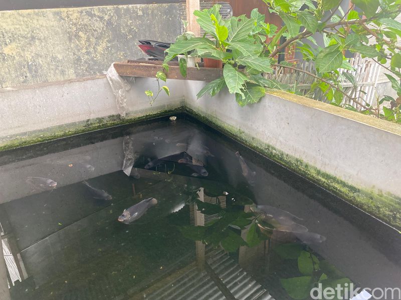 Gurame Bakar Serba Nikmat; rumah makan tersembunyi di Ciputat