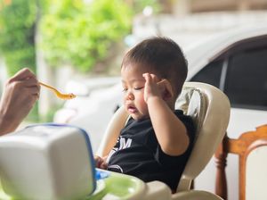 Tips Mudik Bawa Bayi Naik Bus dan Batas Minimum Usianya Tips Mudik Bawa Bayi Naik Bus dan Batas Minimum Usianya