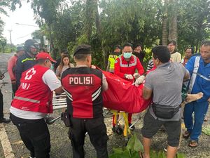 Hujan Angin, Pemotor Tewas Tertimpa Pohon Tua di Jalur Denpasar-Singaraja Hujan Angin, Pemotor Tewas Tertimpa Pohon Tua di Jalur Denpasar-Singaraja