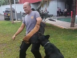 Polda Metro Kerahkan Anjing K9 Amankan Mudik Lebaran, Ini Tugasnya