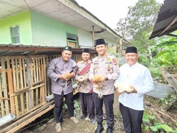 Polres Rejang Lebong Bagikan 600 Ekor Ayam Elba, Bantu Cegah Stunting