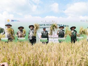 Manfaatkan Petroganik, Produktivitas Padi di Blora Naik 17,2% Manfaatkan Petroganik, Produktivitas Padi di Blora Naik 17,2%