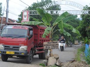 Jalan Klaten-Gunung Kidul yang Rusak Ditanami Pohon Pisang