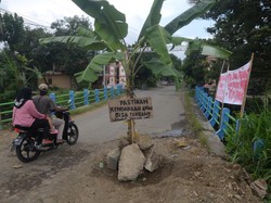 Video: Warga Tanam Pisang di Jalan Alternatif Klaten-Gunungkidul yang Rusak Parah