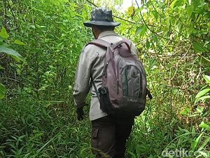 Vonis Berat 3 Terdakwa Kasus Ladang Ganja Semeru Vonis Berat 3 Terdakwa Kasus Ladang Ganja Semeru