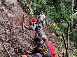 Jalur Trekking Longsor, Desa Wisata Wae Rebo Manggarai Ditutup Lagi Jalur Trekking Longsor, Desa Wisata Wae Rebo Manggarai Ditutup Lagi