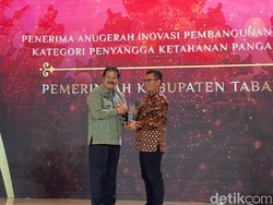 Pemkab Tabanan Raih detikBali Awards sebagai Penyangga Ketahanan Pangan Bali