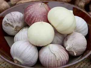 Apa Itu Bawang Lanang? Ini Manfaat, Efek Samping, dan Cara Mengonsumsinya