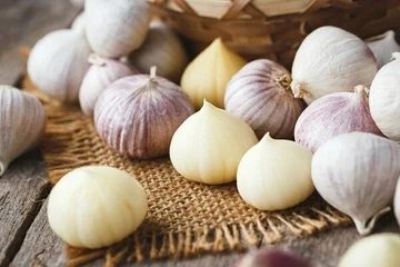 Keajaiban 'Solo Garlic': Bawang Putih Satu Siung
