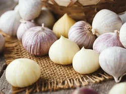 Uniknya Solo Garlic, Bawang Putih yang Hanya Terdiri dari 1 Siung