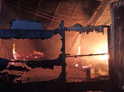 Gudang Mebel di Tangsel Kebakaran, Kerugian Capai Rp 200 Juta