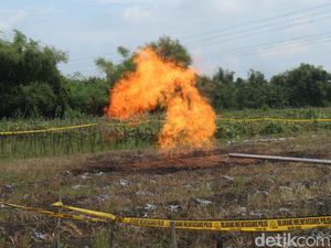 Api Pembakaran Gas Sumur Bor Setinggi 5 Meter Jadi Tontonan Warga Bojonegoro