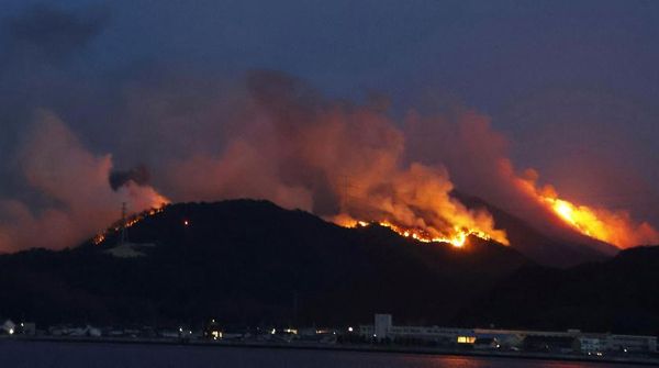 Kebakaran Hutan Terparah di Jepang Masih Membara