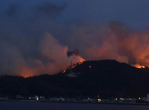 Kebakaran Hutan Terparah di Jepang Masih Membara Kebakaran Hutan Terparah di Jepang Masih Membara