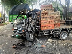 Pikap Muatan Bebek Remuk Usai Hantam Pohon di Kebonsari Temanggung