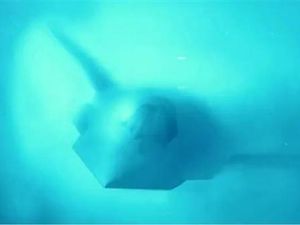 Ini Penampakan Pesawat Tempur Siluman Terbaru AS