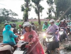 Pohon Tumbang Tewaskan Pemotor Saat Kediri Dilanda Angin Kencang