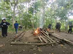 Polisi Gerebek Arena Judi Sabung Ayam di Polman, 7 Motor Pelaku Diamankan