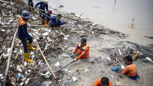Tumpukan Sampah di Banjir Kanal Timur Semarang Dibersihkan