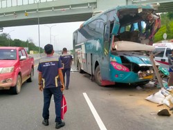 Bus PMTOH Tabrak Truk Tronton di Tol Pekanbaru-Dumai, 1 Tewas