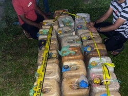 Pria Morotai Selundupkan 600 Liter Minyak Tanah di Halmahera Utara Ditangkap