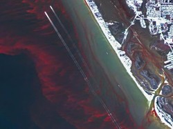 Ilmuwan Ungkap Misteri Laut Berwarna Merah di Florida