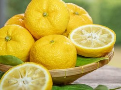 10 Herba dan Bahan Makanan Jepang Ini Berkhasiat Bikin Panjang Umur