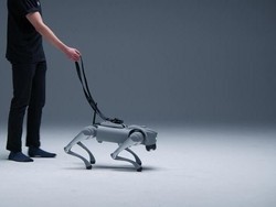 Seperti Asli, Robot Anjing Berotak AI Ini Bisa Belajar Hal Baru