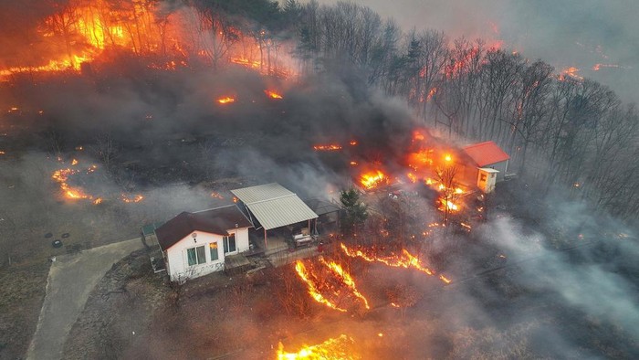 A Korea Forest Service helicopter dumps fire retardant on a wildfire in Uiseong, South Korea, Monday, March 24, 2025. (Yoon Gwan-shick/Yonhap via AP)