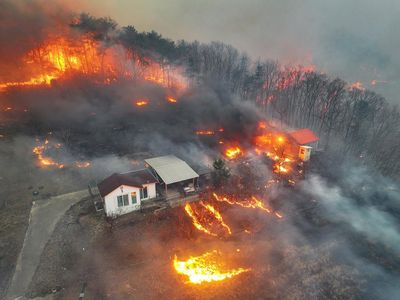 Kebakaran Hutan di Korsel Makin Meluas