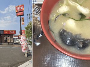 Resto Terkenal Ini Minta Maaf, Ada Temuan Tikus Mengapung di Sup Miso Resto Terkenal Ini Minta Maaf, Ada Temuan Tikus Mengapung di Sup Miso