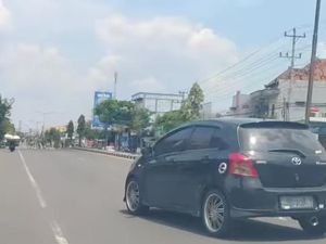 Seekor Rusa Viral Santuy Nyelonong di Jalan Jogja-Solo Klaten Seekor Rusa Viral Santuy Nyelonong di Jalan Jogja-Solo Klaten