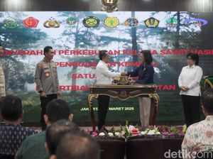 438 Ribu Hektare Kebun Sawit Sitaan Satgas Diserahkan ke BUMN 438 Ribu Hektare Kebun Sawit Sitaan Satgas Diserahkan ke BUMN