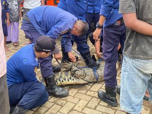 Warga Tangkap Buaya Besar yang Gigit Bocah 10 Tahun di Desa Kohod