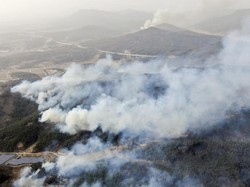 Paling Mematikan, Kebakaran Hutan di Korsel Tewaskan 27 Orang