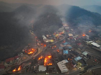 Kebakaran Hutan di Korsel Merambat ke Pemukiman, 15 Orang Tewas