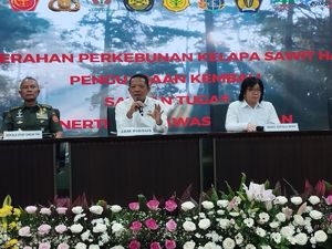 Satgas PKH Ambil Alih 1 Juta Ha Lahan Sawit dari 369 Perusahaan Satgas PKH Ambil Alih 1 Juta Ha Lahan Sawit dari 369 Perusahaan