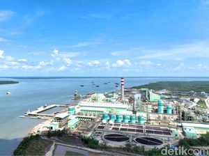 Penjelasan Perusahaan Kertas soal Dugaan Limbah Cemari Sungai di Tarakan