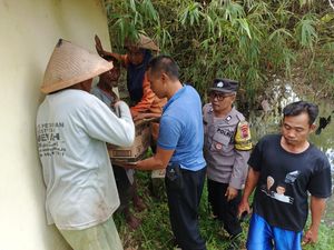 Bayi Perempuan Dalam Kardus Ditemukan di Sawah Weru Sukoharjo Bayi Perempuan Dalam Kardus Ditemukan di Sawah Weru Sukoharjo