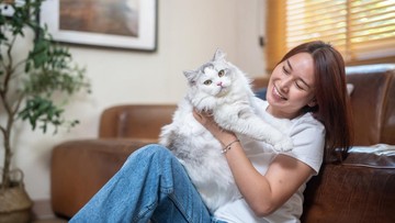 5 Cara Berkomunikasi dengan Kucing Agar Makin Dekat