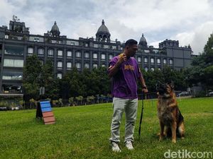 Pet Hotel, Tempat Menginap Hewan Peliharaan yang Ramai Jelang Lebaran Pet Hotel, Tempat Menginap Hewan Peliharaan yang Ramai Jelang Lebaran