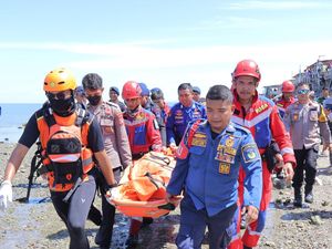 Buaya Terkam Pria yang Lagi Renang di Pantai Talise Palu hingga Tewas Buaya Terkam Pria yang Lagi Renang di Pantai Talise Palu hingga Tewas