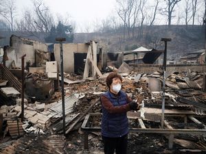 Pemukiman Warga di Korsel Hancur Terdampak Kebakaran Hutan Pemukiman Warga di Korsel Hancur Terdampak Kebakaran Hutan