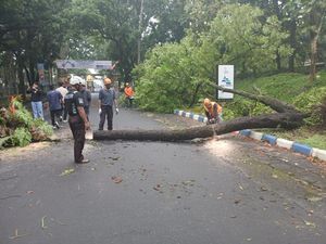 Pohon Tumbang Tutup Akses Jalan Malang-Blitar Pohon Tumbang Tutup Akses Jalan Malang-Blitar