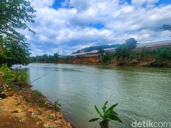 Kisah Risman Nyaris Dikejar Buaya di Sungai Cimandiri Sukabumi