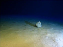 Parah! Sampah Plastik Sudah Sampai di Titik Terdalam Laut Mediterania